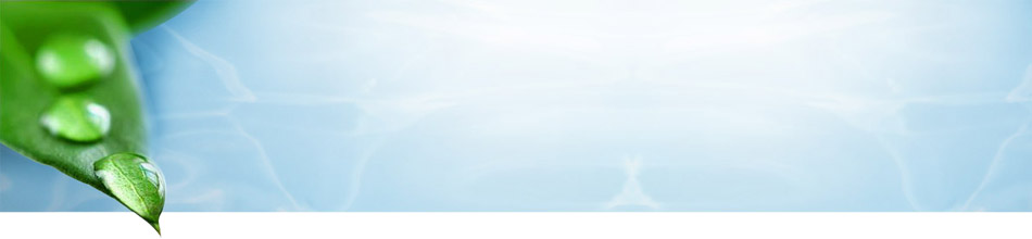 local de banner
